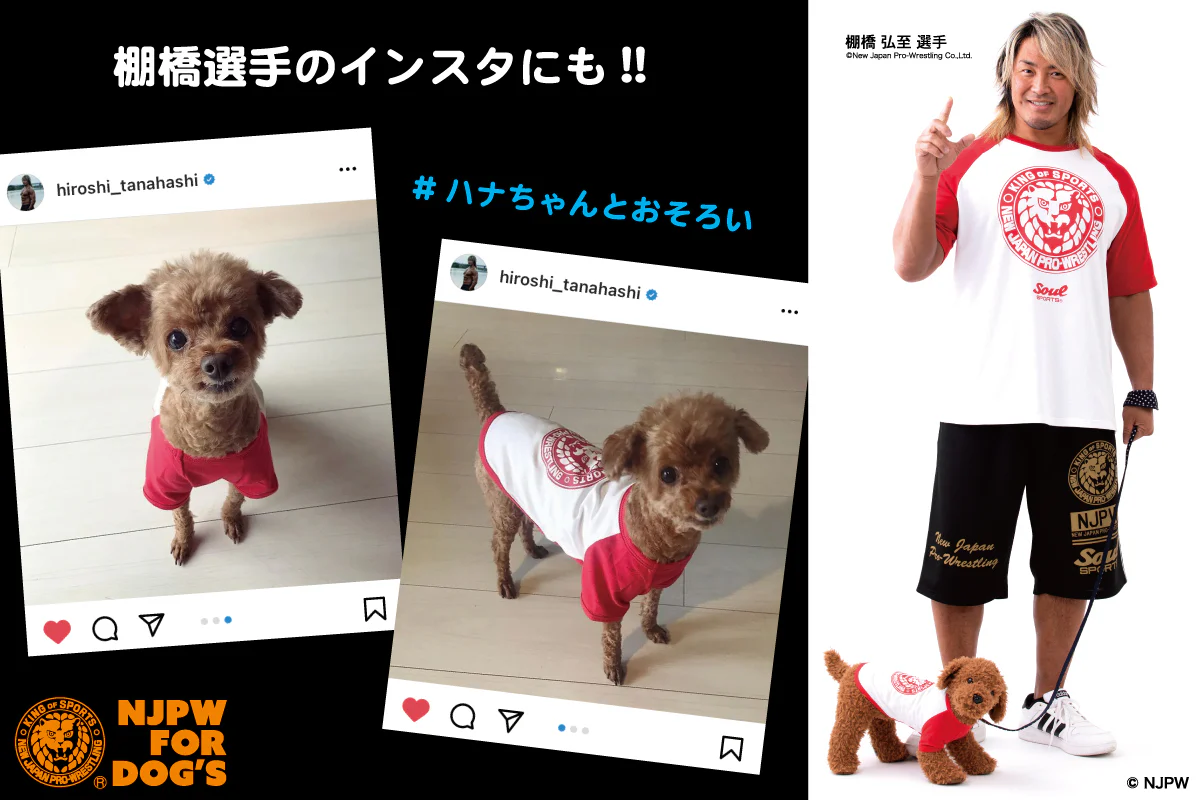 ドッグウェア ラグランTシャツ（袖有り/レッド） - Image 7
