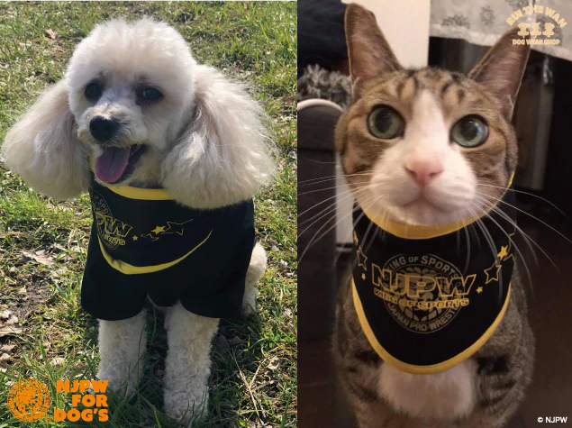 ドッグウェア スタイ(ブラック) - Image 4